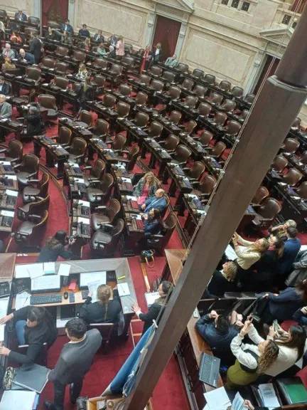 Milei perdió en el Congreso: Diputados rechazaron el veto a la ley de emergencia en discapacidad