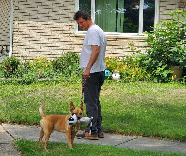 Rebel came to sit for a few days – and stayed: Send us your pet stories