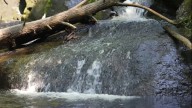 Beltzville State Park offers beach front property & more