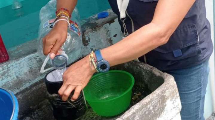 Piden apoyar combate al dengue con ovitrampas