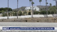 Mountain lion attacks girl in Malibu
