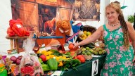 La huerta madruga en Pravia por la sequía: "Se ha adelantado la cosecha"