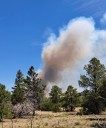Vereda Blanca Fire burns on the Mt. Taylor Ranger District
