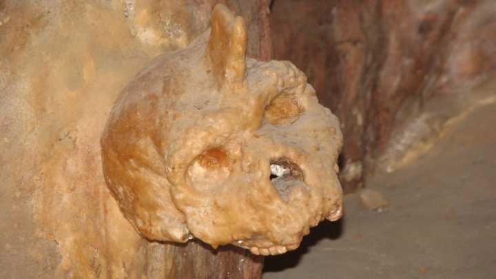 A '60s Villager Found An Ancient Skull. 65 Years Later, It's Identified As Rare Human Species