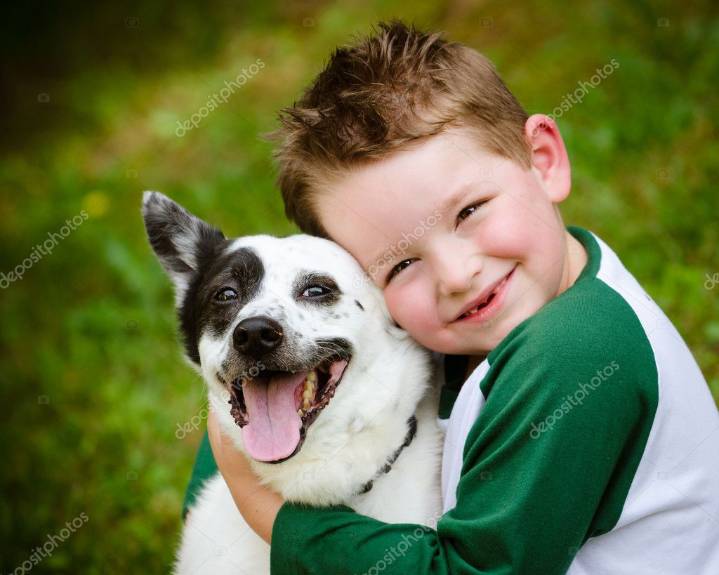 Pet Owner Safety Checklist: Protecting Pets and People from Foodborne Risks