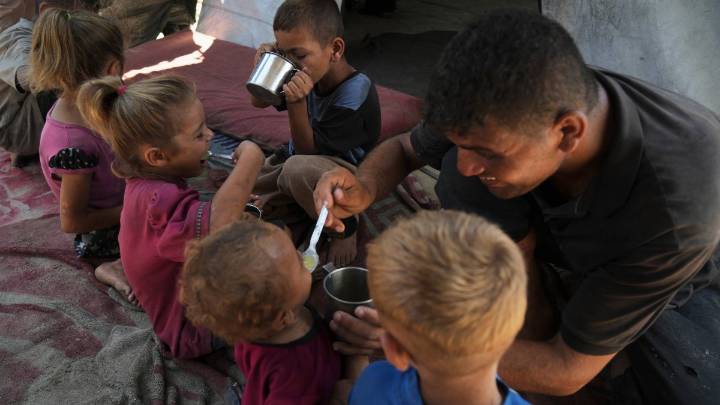 How one Gaza family dedicates each day to finding enough food to survive
