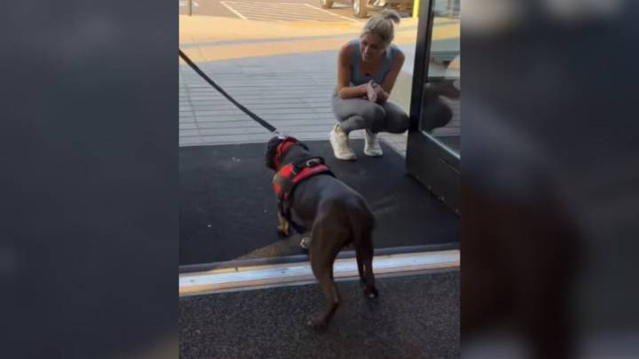 Scared Shelter Dog From Georgia Was About To Be Put Down, But Then His Miracle Arrived