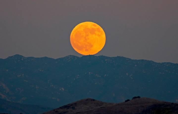 Thinking about the big August moon. And the hungry bear in my garbage.