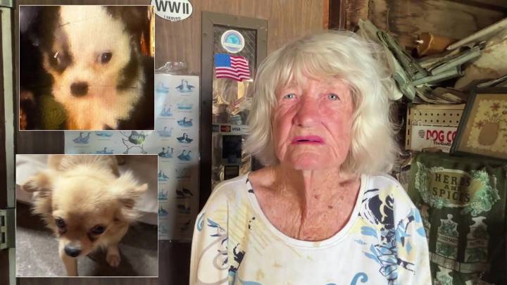 Ballard's Farm Supply’s 92-year-old female owner claims she was beaten by women who stole her 3 dogs