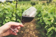 ‘Entre Copas y Oficios’: Vichuquén celebra el vino y la cultura en fin de semana patrio