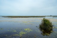 El Gobierno asigna 28 millones a subvenciones para la restauración de Doñana