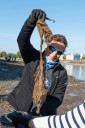 London's disgusting 'wet wipe island' to be removed as work begins to excavate 180 tonnes of congealed waste