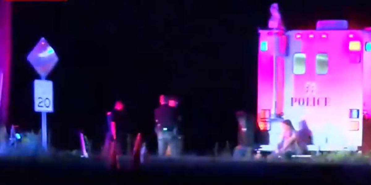 Deputies shot while serving warrant, suspect kills himself: sheriff