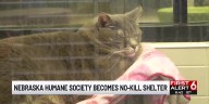 Nebraska Humane Society designated as a ‘No Kill Shelter’