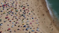 Idiot Spring Breakers Force Sharks to Take Matters Into Their Own Hands