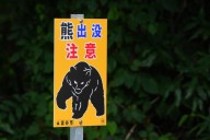 Japan 'bear attack' victim was murdered, son arrested