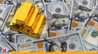 Precio del dólar BCV hoy 13 de agosto de 2025 y la tasa para mañana