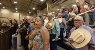 Photos: Jr. Livestock Sale at MontanaFair