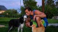 Qué significa que me gusten más los perros que los gatos, según la psicología
