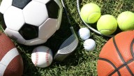 WEEKLY SPORTS SCHEDULE 