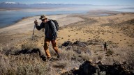 Utah could bring bighorn sheep back to another Great Salt Lake island