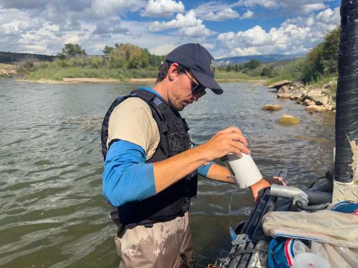 How wildlife officials tracked the source of zebra mussels in the Colorado River