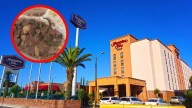Comedor de hoteles en Saltillo le proporcionó la discada a empleado que murió tras comerla