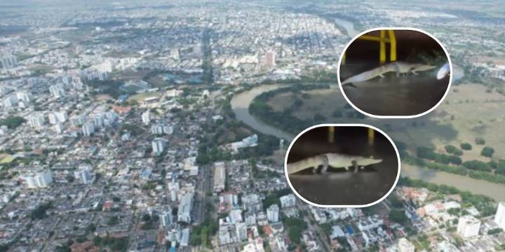 Babilla fue captada en pleno casco urbano de Montería en medio de fuerte aguacero