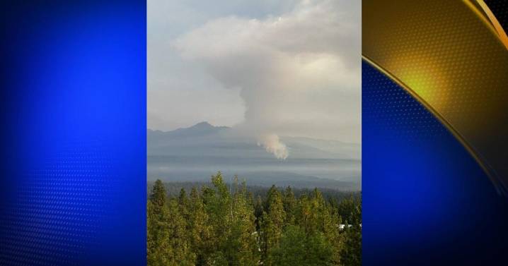 Peak Fire 290 acres, 0% contained