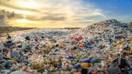 Plastics: all around us and inside us