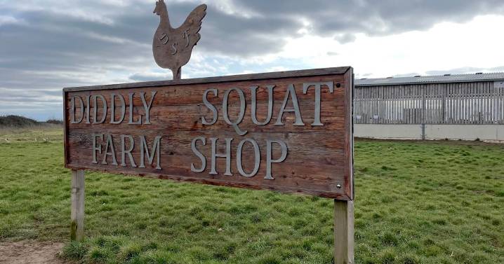 Clarkson's Farm fan's key advice as people are 'put off' by Diddly Squat shop queues