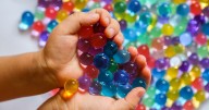 New regulations for water bead toys focus on safety