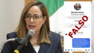 Marcela Herrera, próxima presidenta del TSJ, advierte Face falso