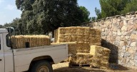 Madrid ha repartido 30.000 kg de paja entre los ganaderos afectados por el incendio de Tres Cantos