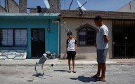 ¿Conoces a Waldog? El perro robot que promueve la bondad animal en México