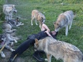 Alberta-bound, or put down? Fate of Wahnapitae wolf