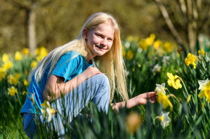 Free Gardening Events In Wenatchee For Local Gardeners