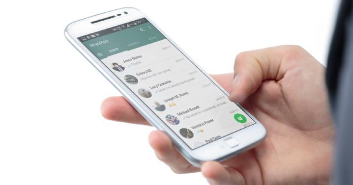 Cómo programar mensajes en WhatsApp: las alternativas para Android, iPhone y PC