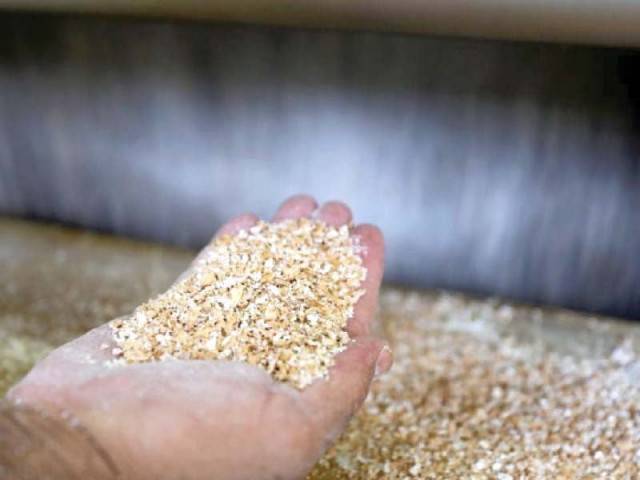 Sesame project targets 5,000