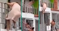 ¡Dramático escape! Amante semidesnuda salta de un segundo piso para huir de la furia de la esposa engañada