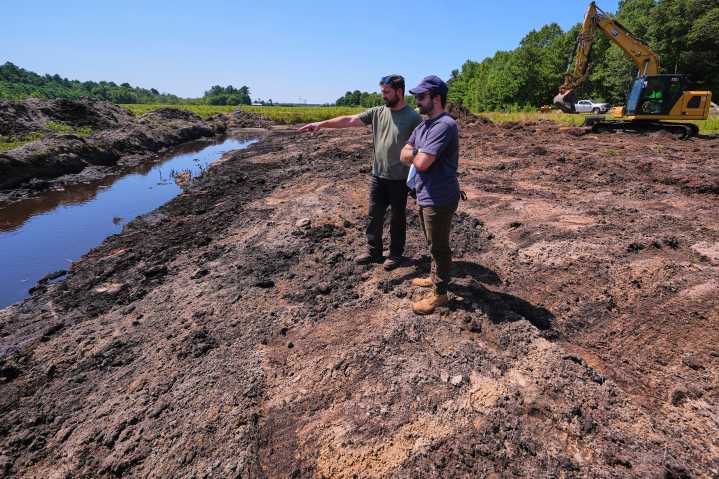 Massachusetts cranberry bogs are being given a second life as vibrant wetlands