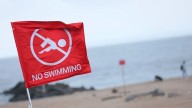 Beach warning: High bacteria levels at 5 Washington beaches