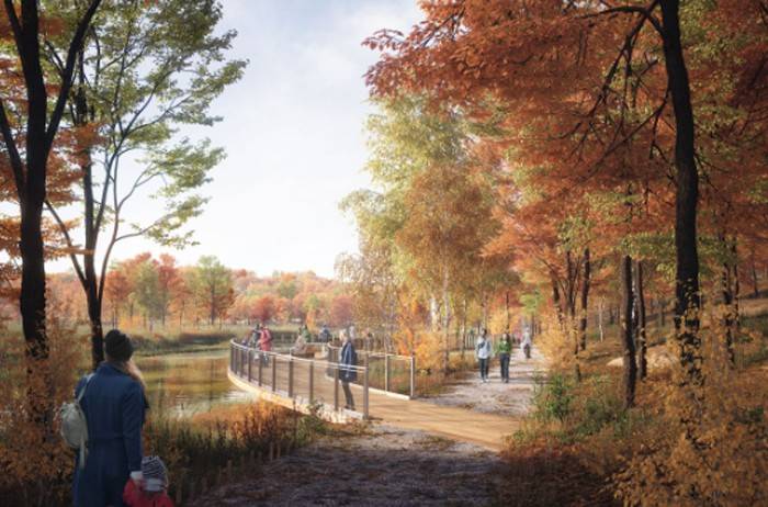 Cold Spring Village Board concerned over pedestrian safety