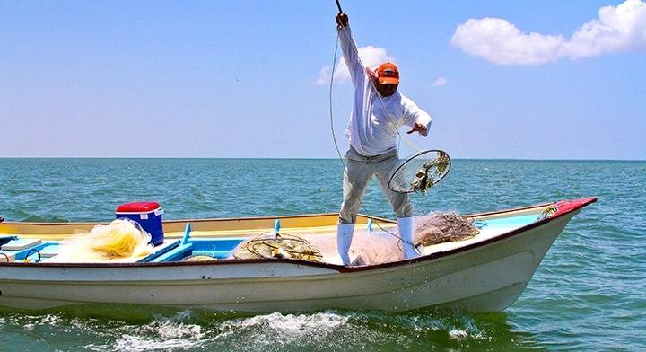 130 pescadores aún sin cobrar