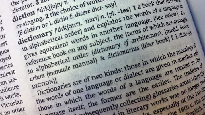 Cambridge Dictionary new words: Skibidi, delulu, tradwife & more
