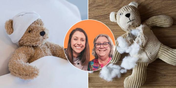 Cosió unos osos de peluche con ropa vieja para poder regalarle algo a sus hijos y terminó fundando una exitosa empresa familiar