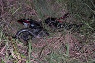 Tres lesionados tras choque entre dos motocicletas en carretera Ciudad del Carmen