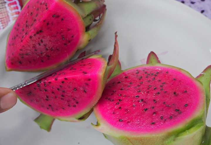 Productores de sur de México apuestan por cultivo de la pitahaya para arraigar a juventud