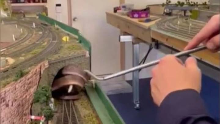 Fue a poner en marcha su maqueta de trenes y se topó con una serpiente oculta en un túnel