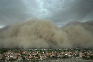After fearsome dust storm rips Phoenix area, trees cleaned up and power restored
